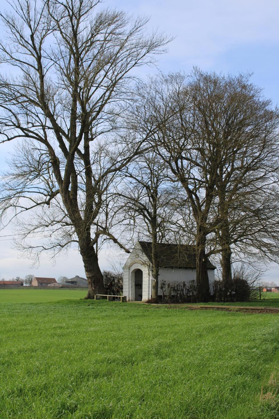 Nearby landmark, Area and facilities