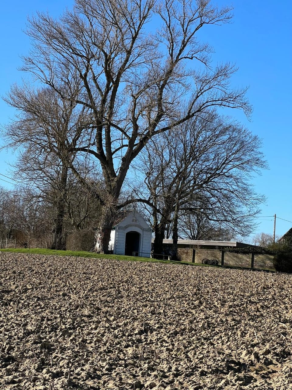 Landmark view