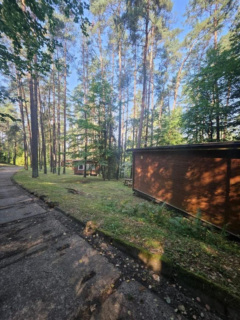 Domki Sosnówka-Kaszuby Campground/ 
RV Resort in Pomeranian Voivodeship