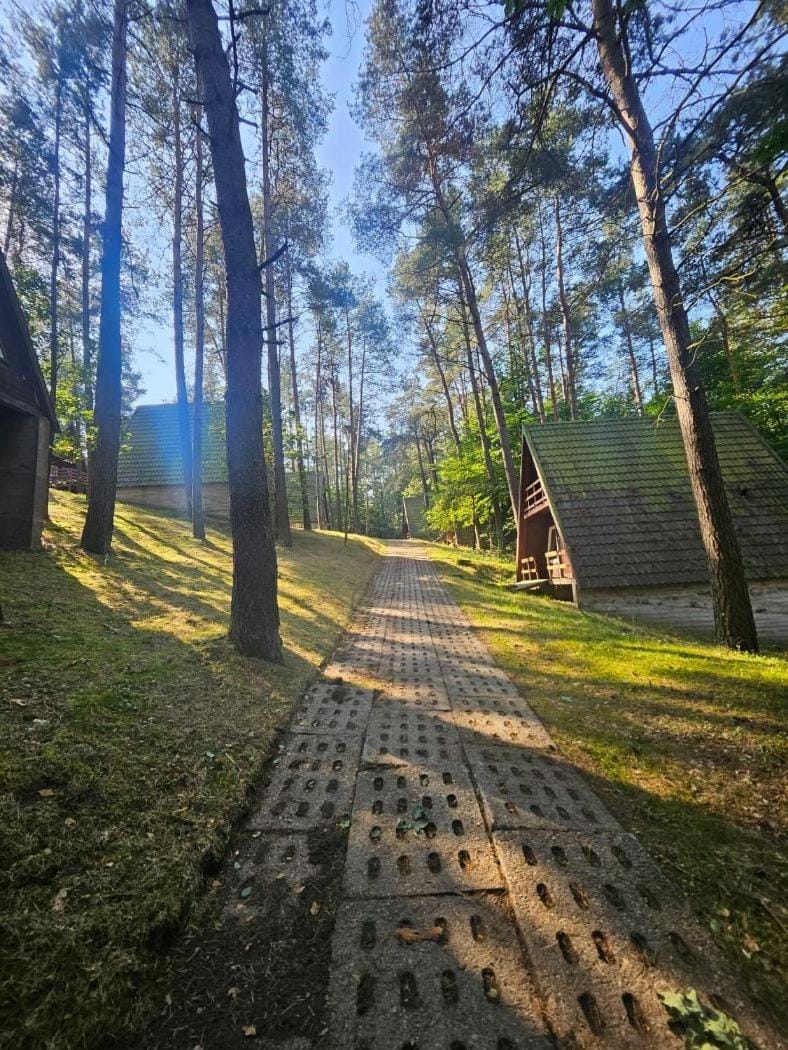 Domki Sosnówka-Kaszuby Campground/ 
RV Resort in Pomeranian Voivodeship