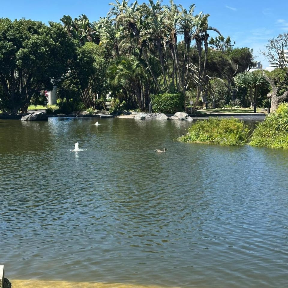 Natural landscape, Garden, Garden view, Lake view