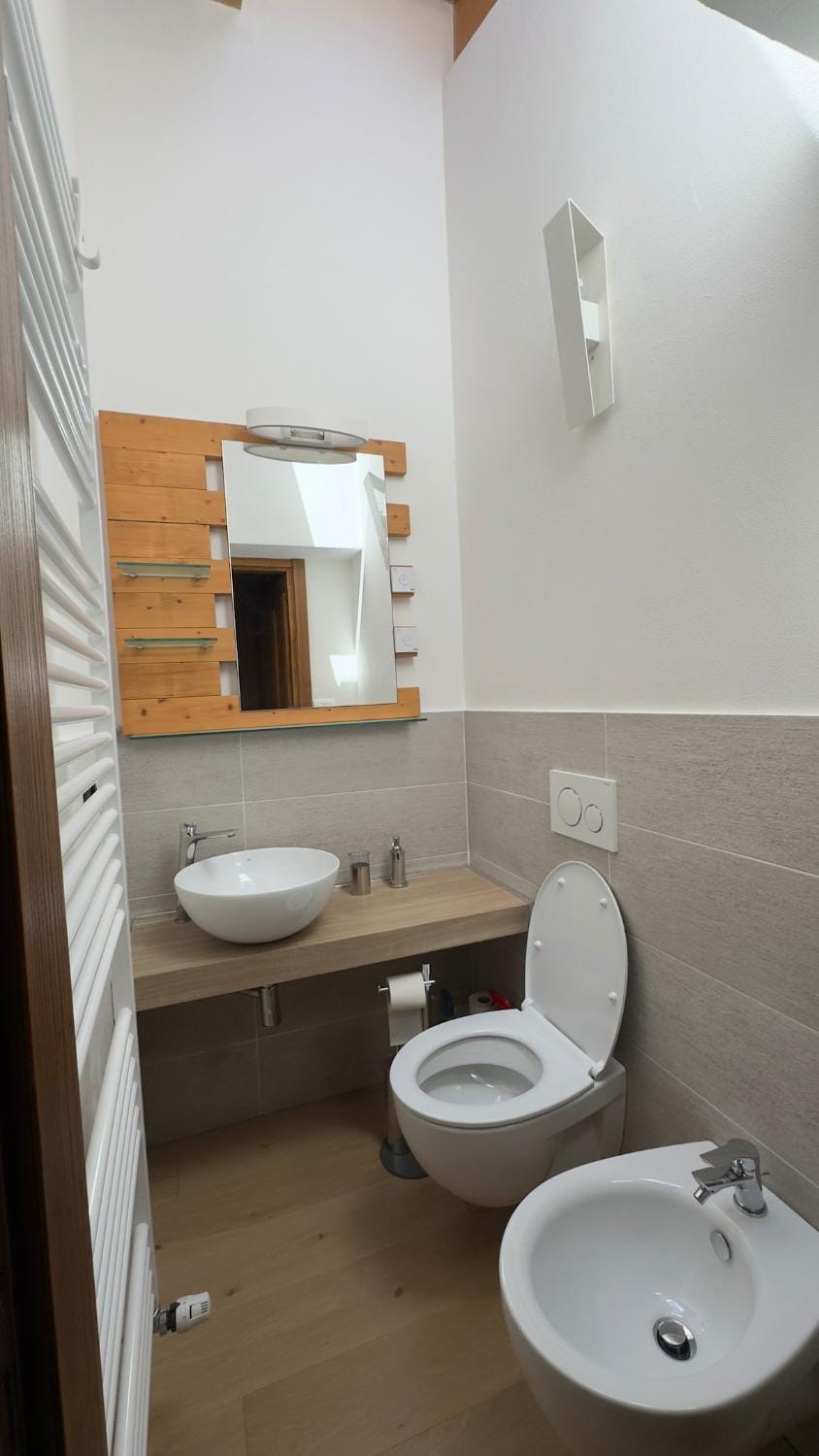 Toilet, Bathroom, bidet