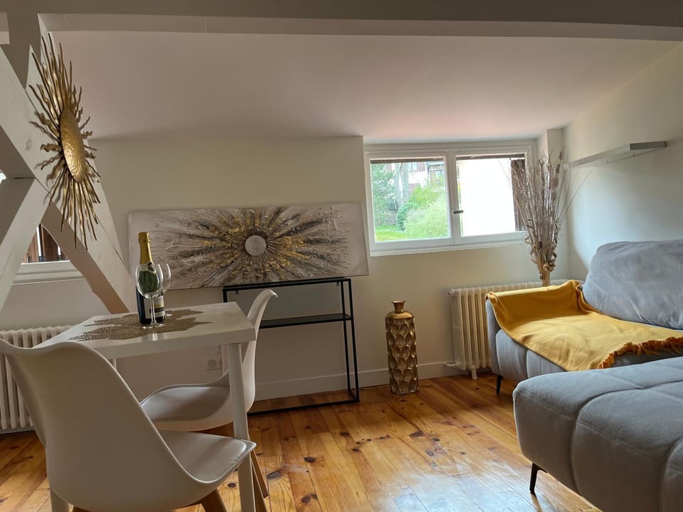 joli studio Apartment in Clermont-Ferrand