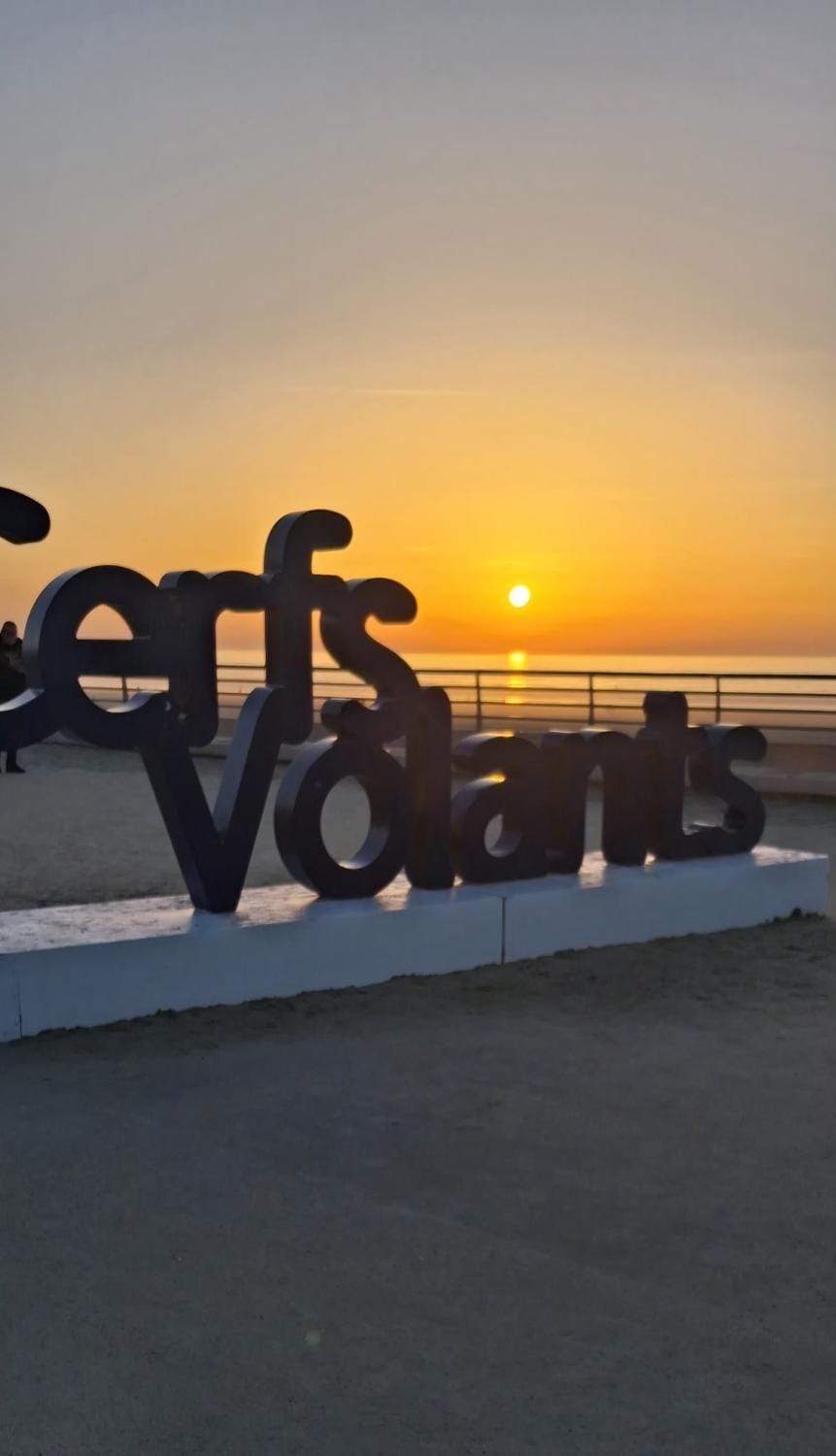 Appartement coquet proche plage Apartment in Berck