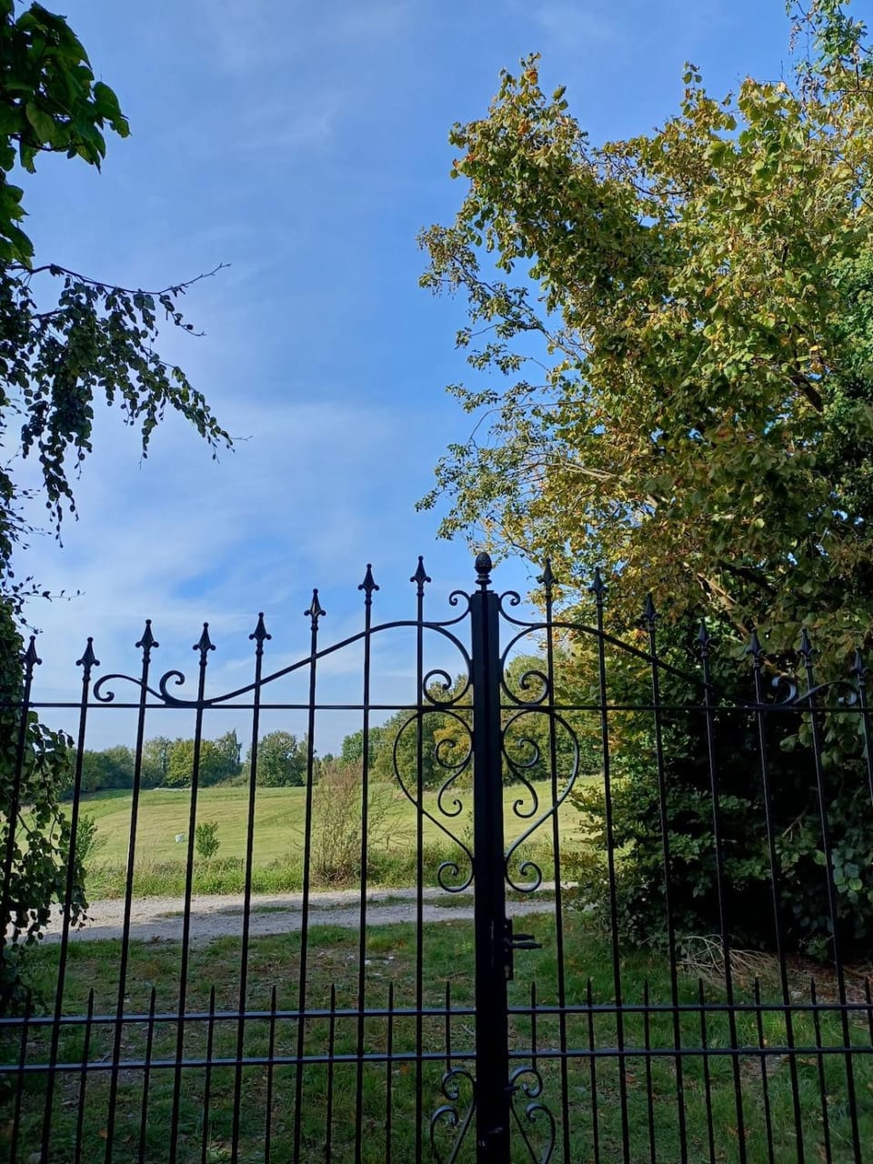 Natural landscape, Garden
