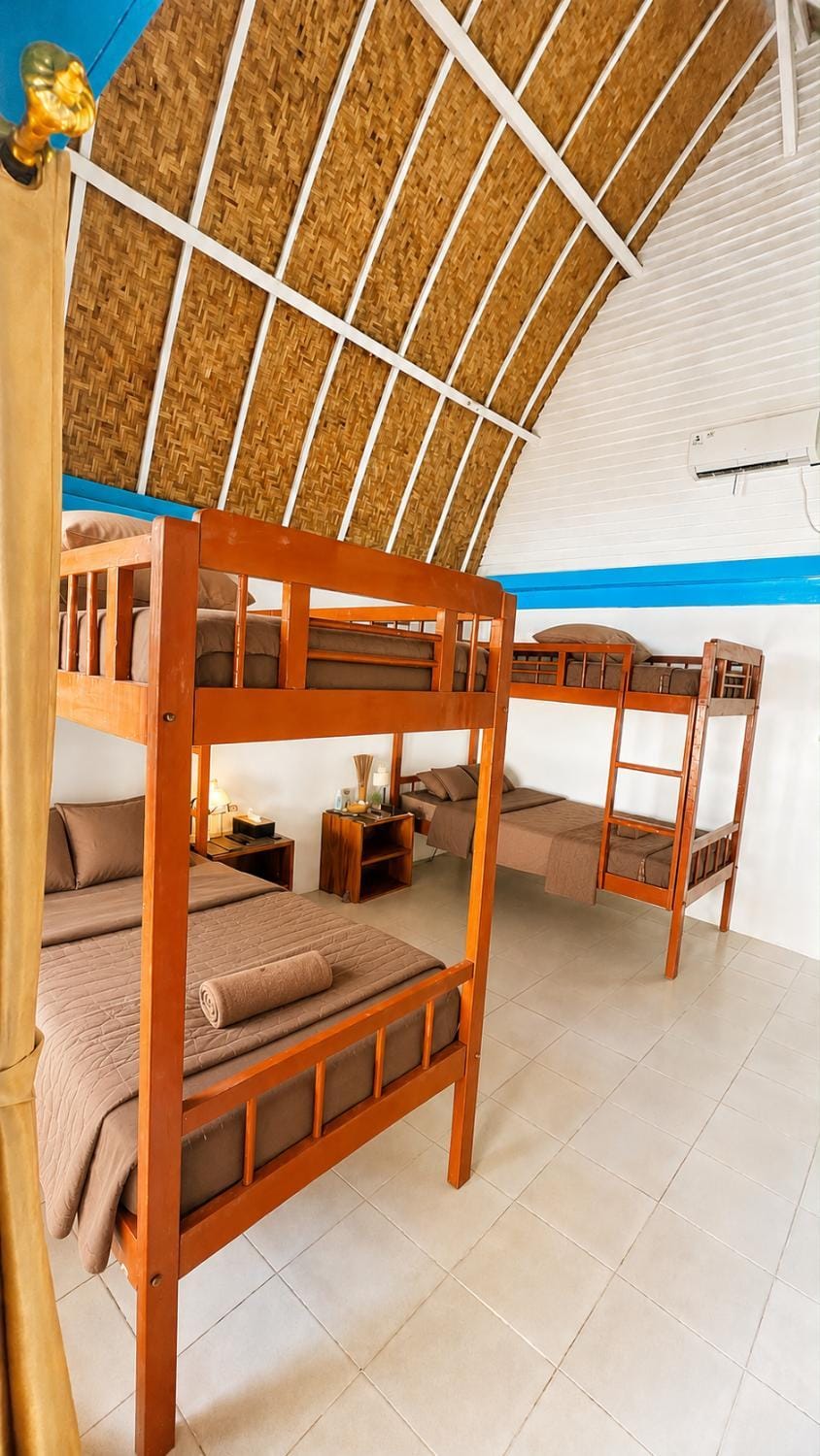 Bed, Photo of the whole room, Bedroom, bunk bed