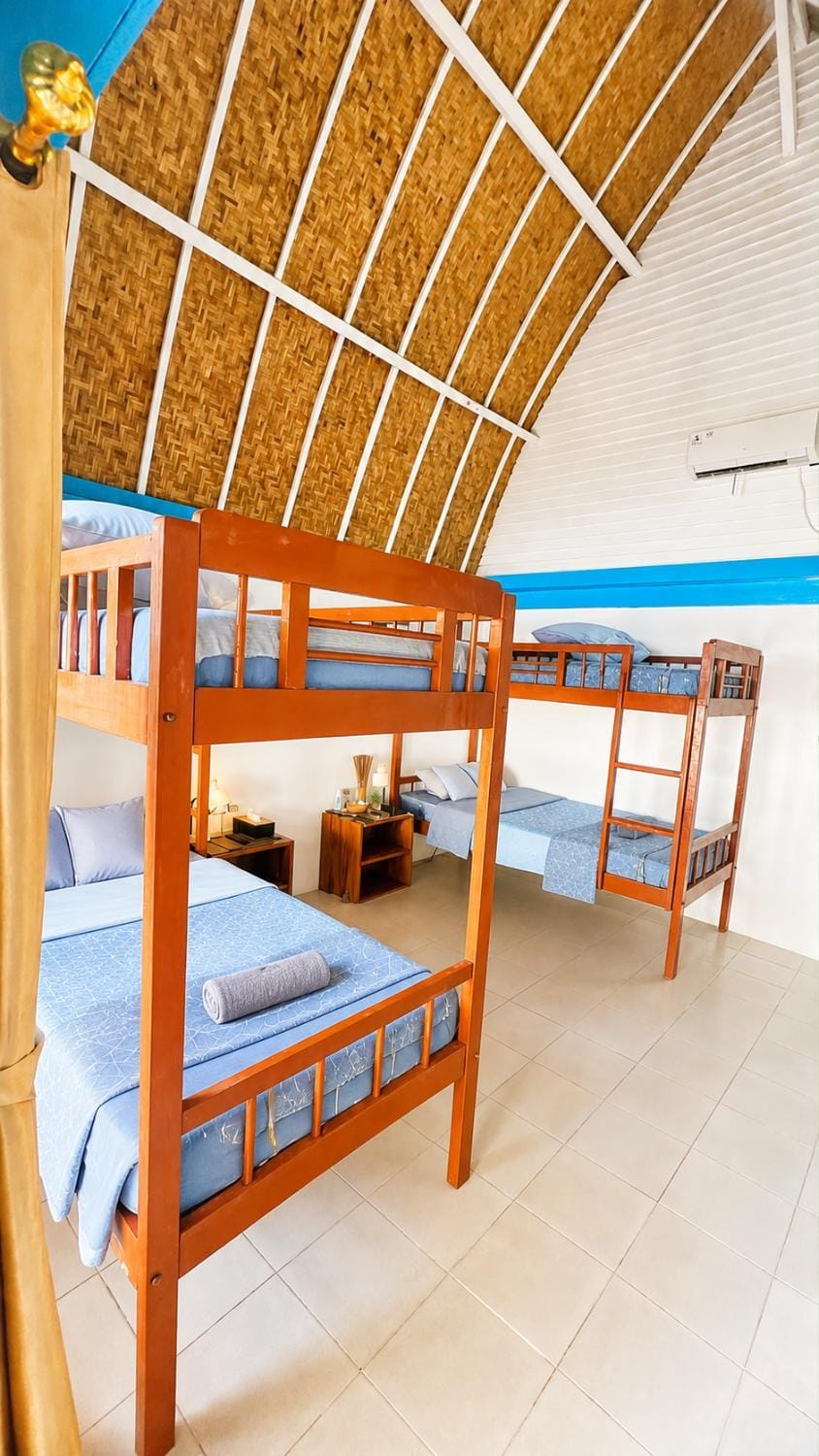 Bed, Photo of the whole room, Bedroom, bunk bed