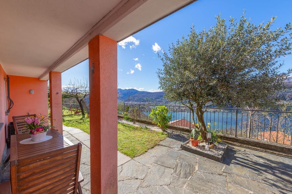 Bird's eye view, Garden, Garden view