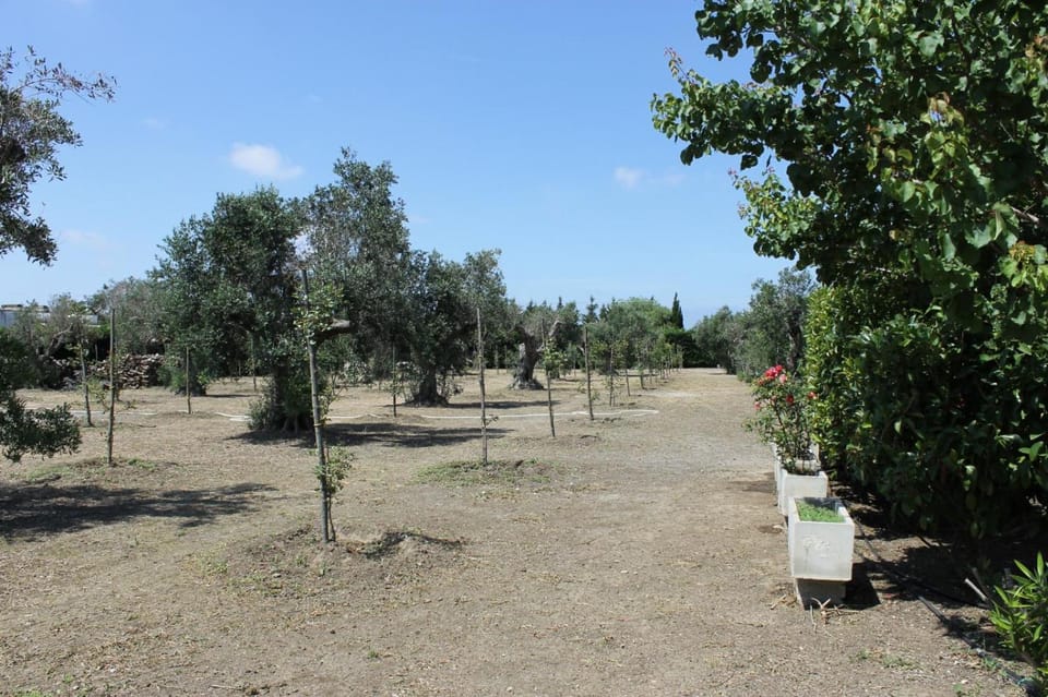 Villa Romano Country House in Apulia