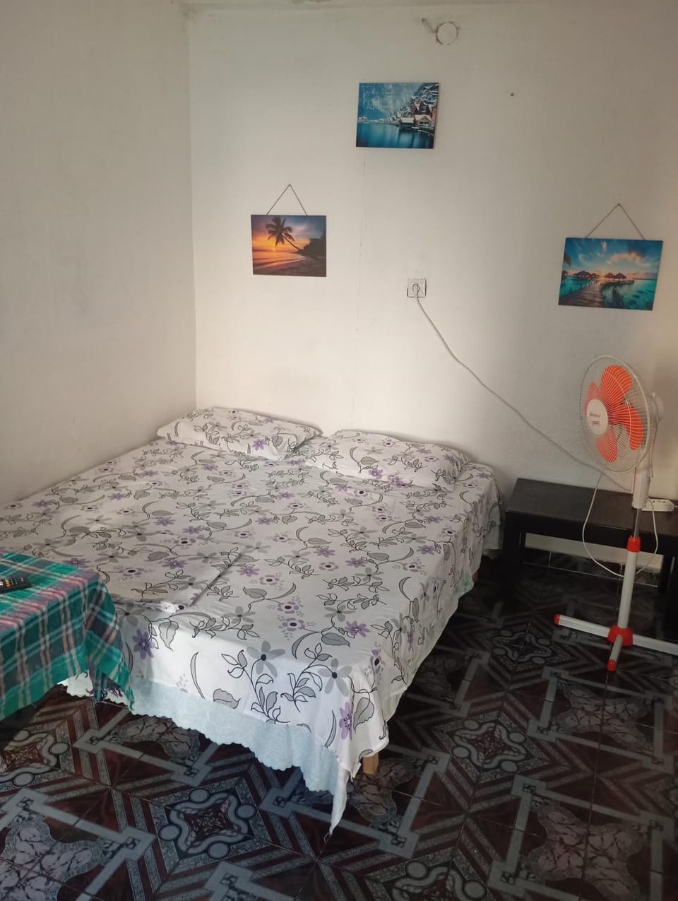 Pine Private Studio 17 Apartment in Tirana