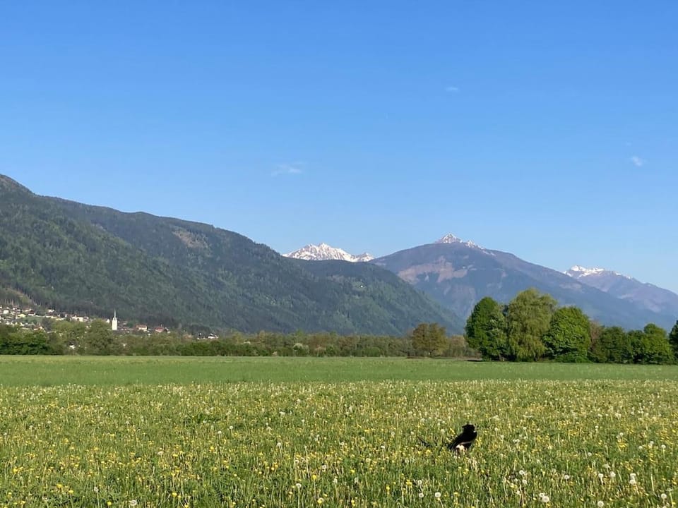 Natural landscape