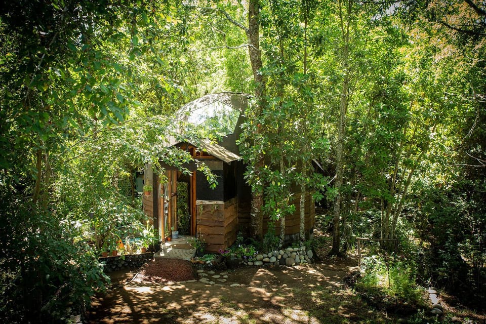 Property building, Garden