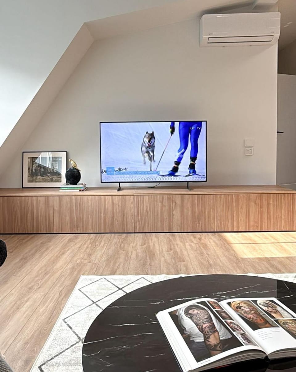 TV and multimedia