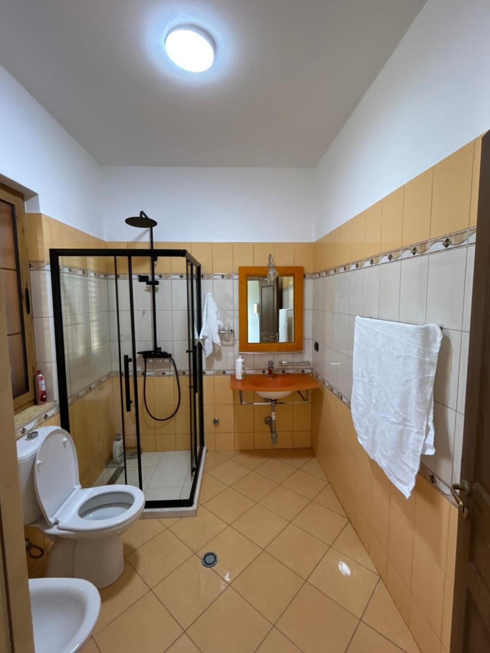 VillaSolmare Velipoje House in Montenegro