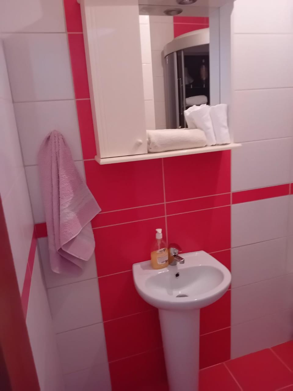 Apartman Nika Apartment in Podgorica