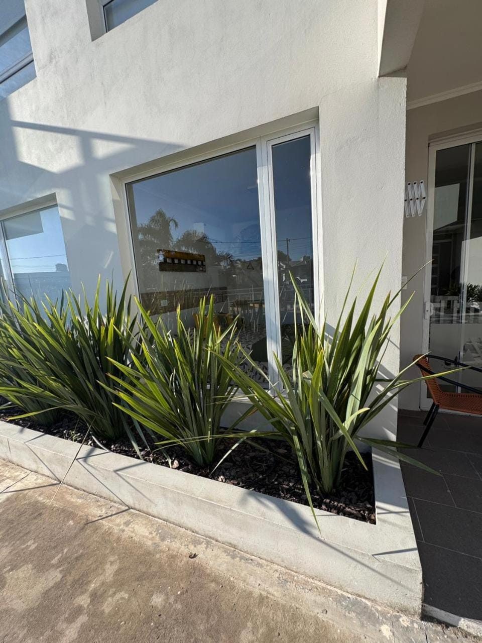 Patio, Garden