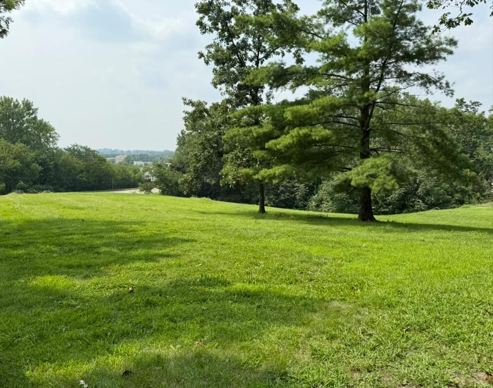 Garden view, Area and facilities
