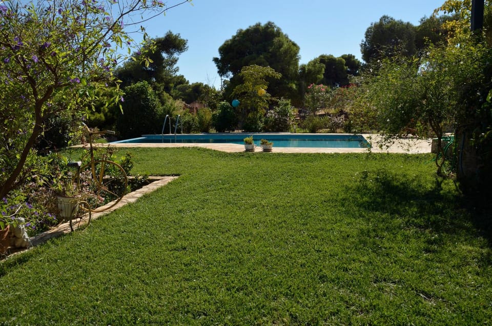 Spring, Garden view, Swimming pool