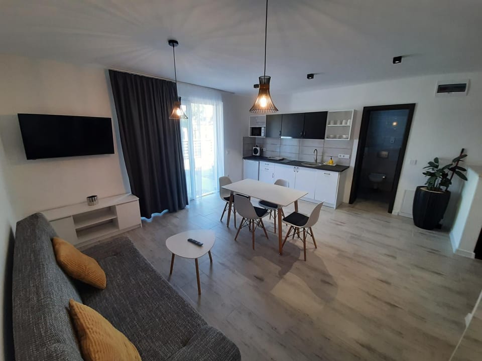 Kitchen or kitchenette, Living room