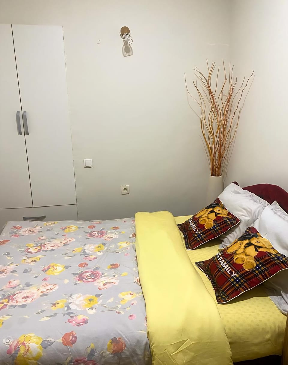 Apartman Trebjesa Apartment in Montenegro