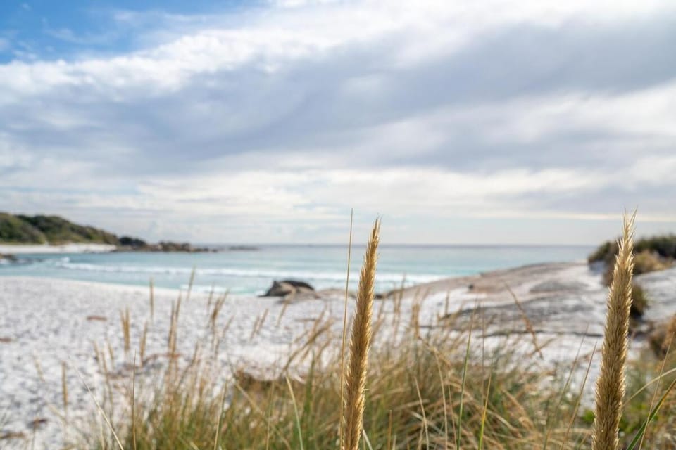 The Shack - Beachside At Binalong House in Binalong Bay