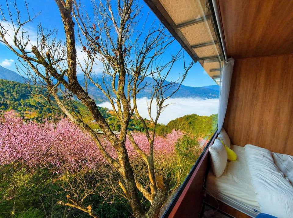 Bed, Natural landscape, Photo of the whole room