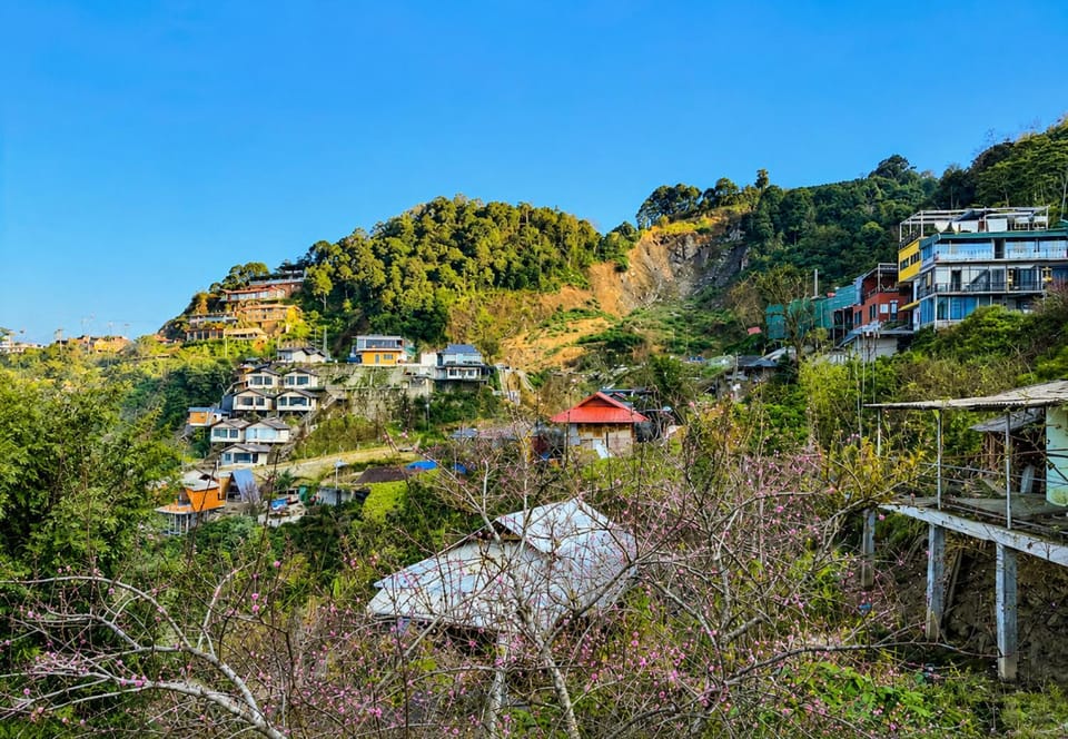 Property building, Natural landscape