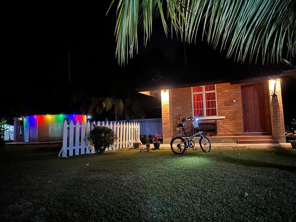 Night, Garden, Cycling, Garden view