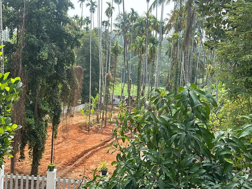 Landmark view