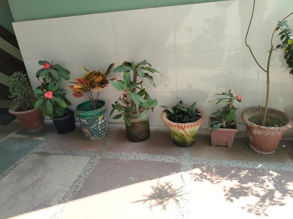 Sachin Yadav Homestay Vacation rental in Uttar Pradesh