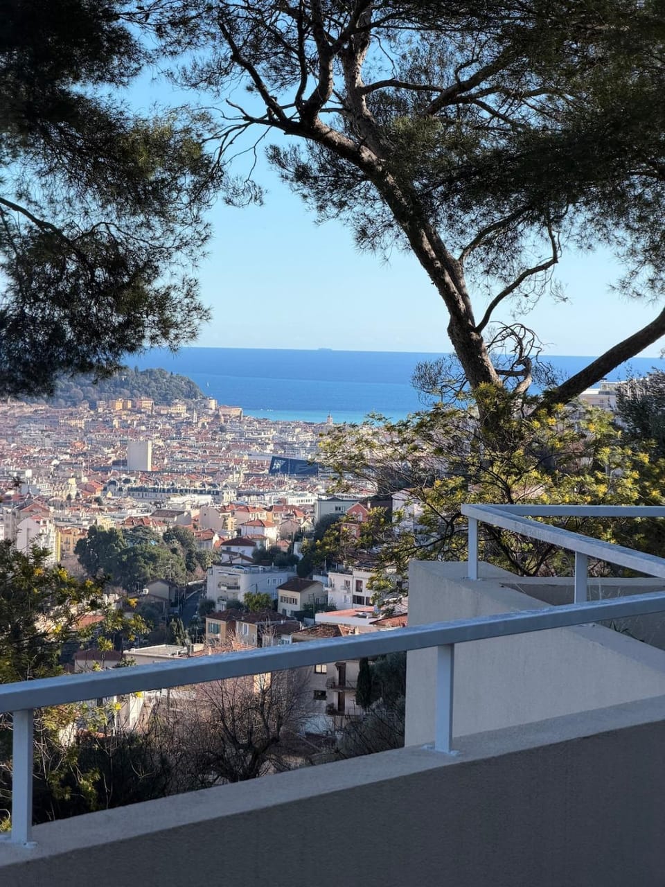 Appartement 3 chambres avec piscine et parking privé Apartment in Nice