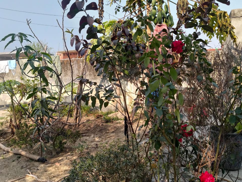 Atul homestay Vacation rental in Uttar Pradesh