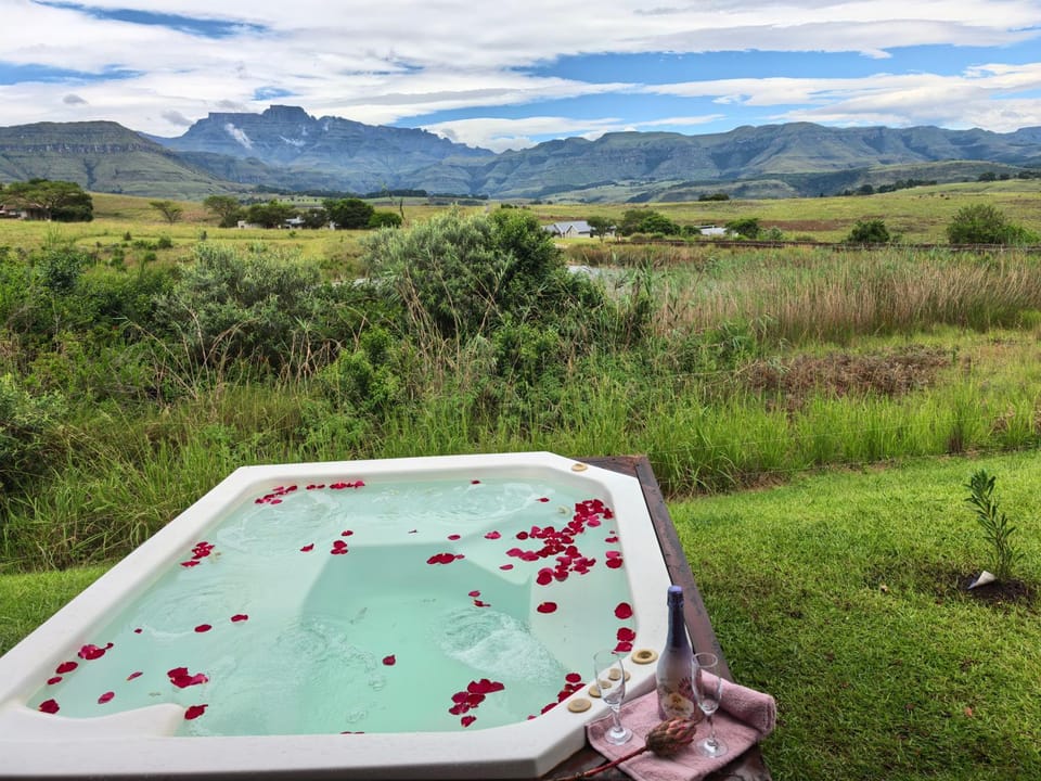 Garden, Hot Tub