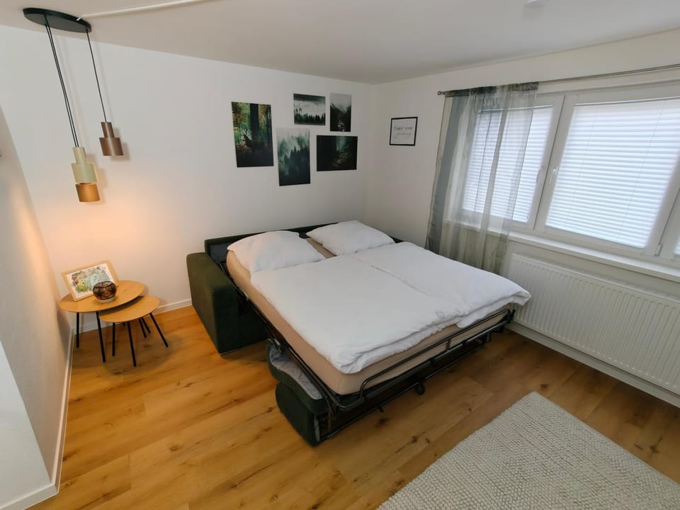 Cozy Modern Apartment in Seelbach near Europa Park Apartment in Lahr