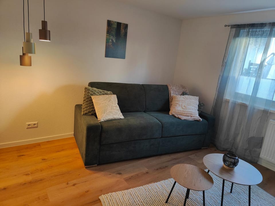 Cozy Modern Apartment in Seelbach near Europa Park Apartment in Lahr