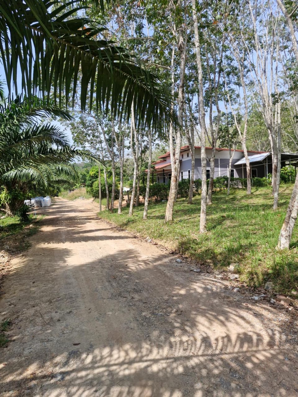 NaklangHillHouse Bed and Breakfast in Sala Dan