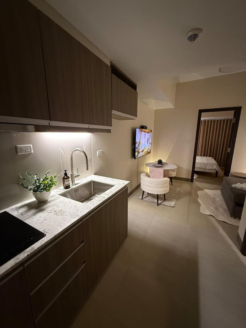 Kitchen or kitchenette, kitchen