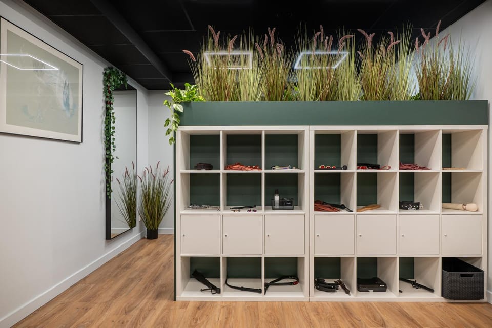 BDSM Play Apartments Apartment in Vilnius