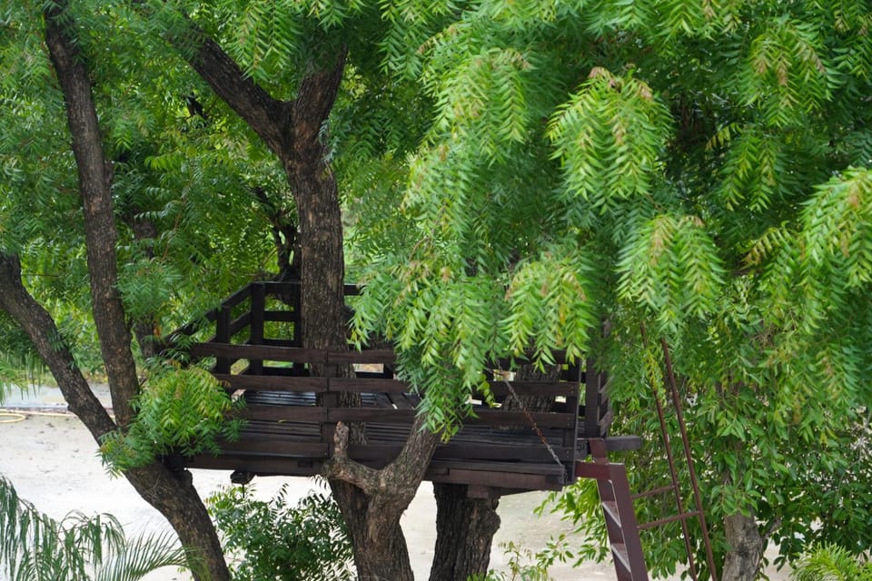 Natural landscape, Garden