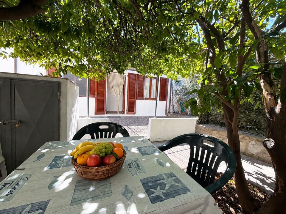 Patio, Day, Garden, Dining area