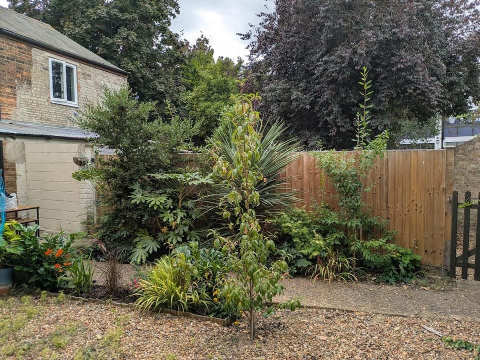 Charming Cambridgeshire Home House in Ely