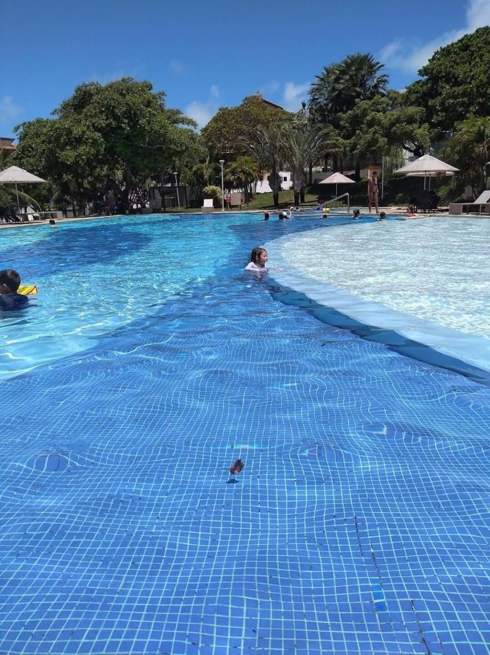 Pool view, Swimming pool