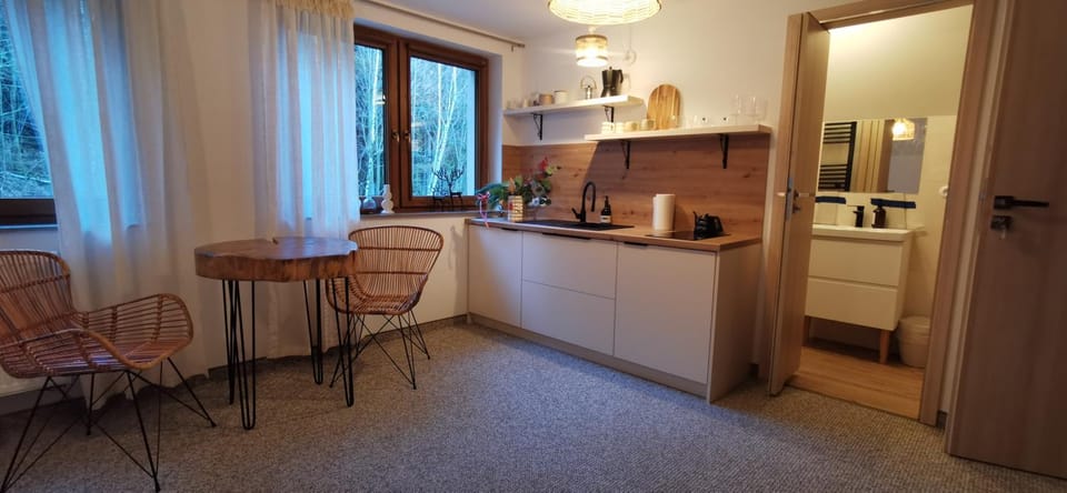 Willa Sowia Dolina - Apartamenty Apartment in Lower Silesian Voivodeship