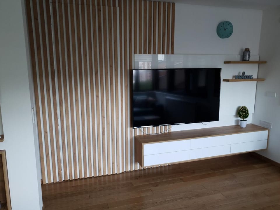 TV and multimedia