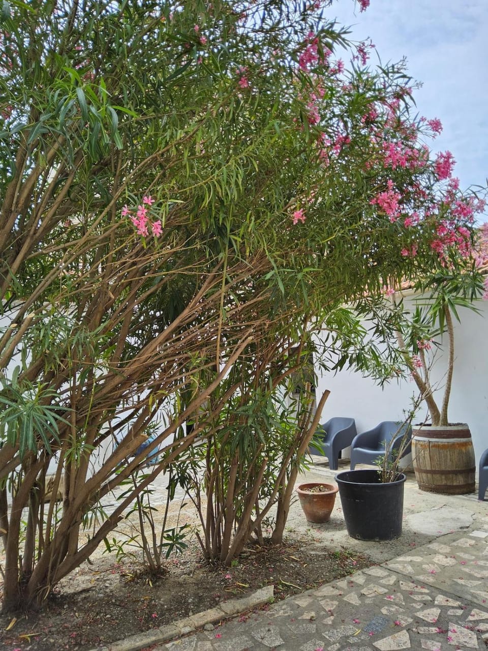 Barracuda of port terrace sea for 6 Apartment in Port-la-Nouvelle
