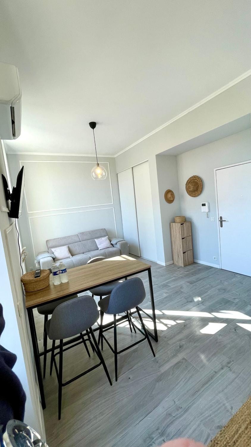 Cannes Centre charmante duplex lumineux Apartment in Cannes