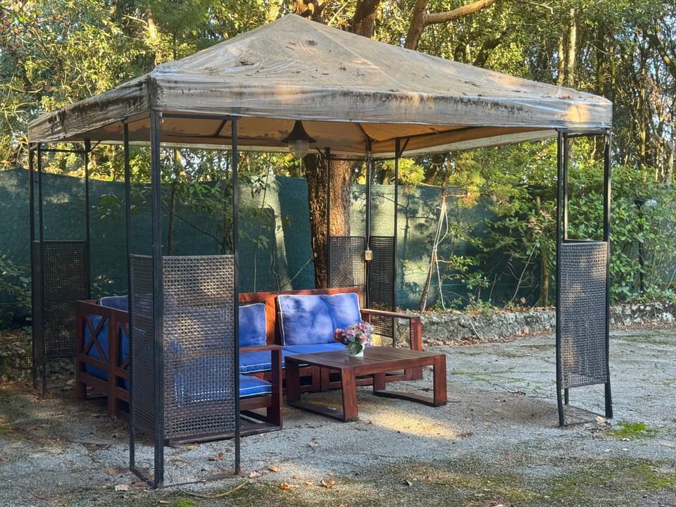 Property building, Garden, Garden view