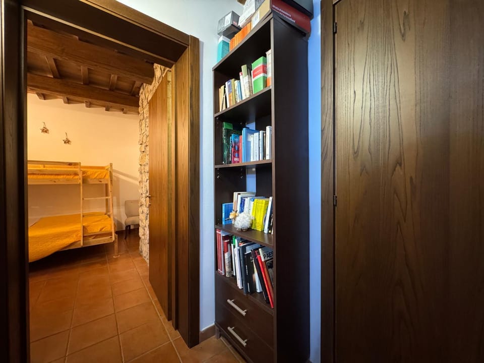 Bed, Photo of the whole room, Bedroom, bunk bed