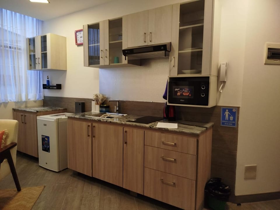 Kitchen or kitchenette, dishwasher, minibar, stove