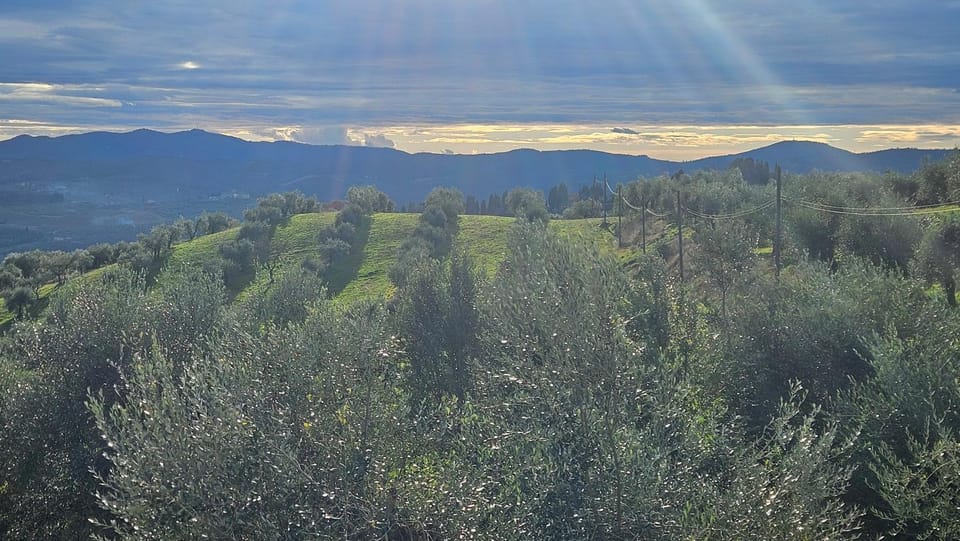 Natural landscape, Garden